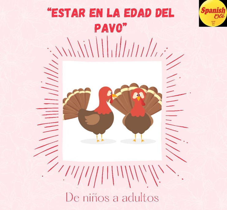«El pavo» en español