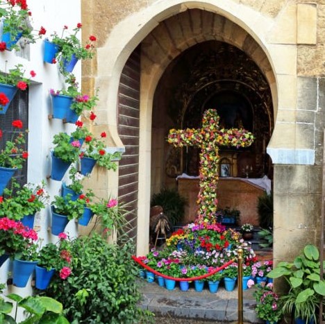 Art and wine experience